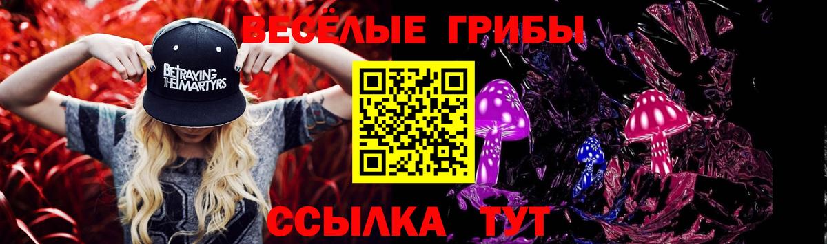 Новотроицк  Галлюциногенные грибы мухоморы  Вход с VPN 